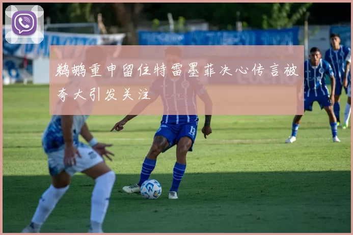 鹈鹕重申留住特雷墨菲决心传言被夸大引发关注