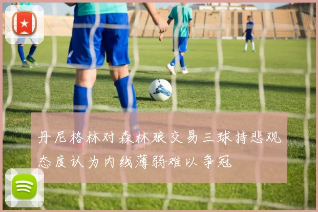 丹尼格林对森林狼交易三球持悲观态度认为内线薄弱难以争冠